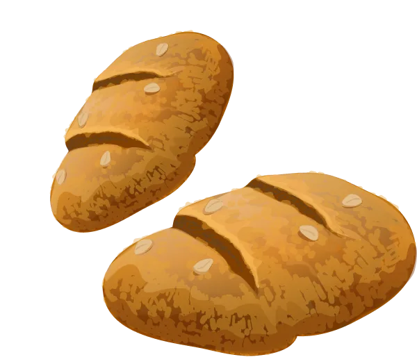 Bakery  Bucket 
                              Where every bi - 开云